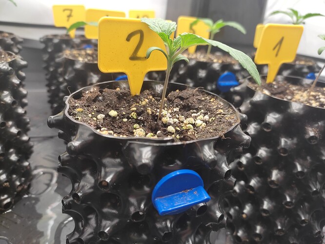 Growreport Bild 12