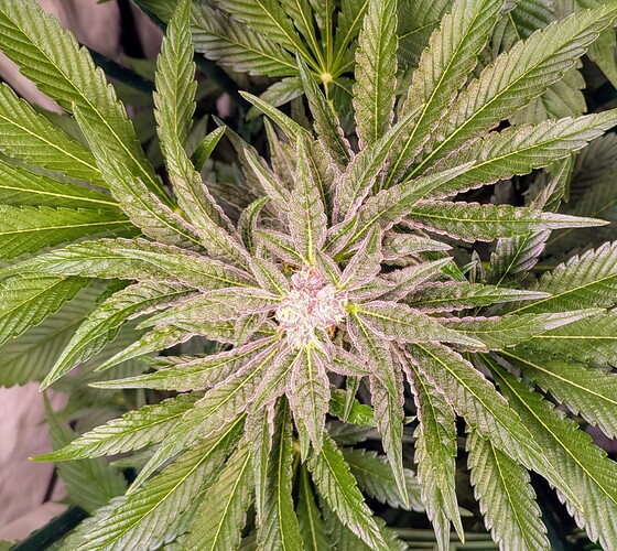 Growreport Bild 8