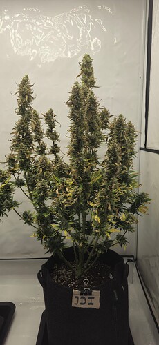 Growreport Bild 6