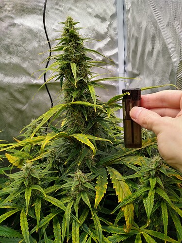 IMG_20240530_141005770_HDR