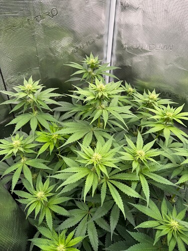 Growreport Bild 14