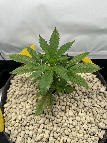 20240427_150507189_iOS