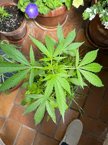 WhatsApp Image 2024-07-02 at 19.16.17 (1)