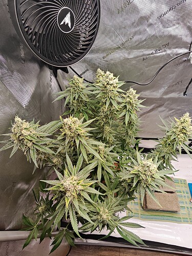 Growreport Bild 23