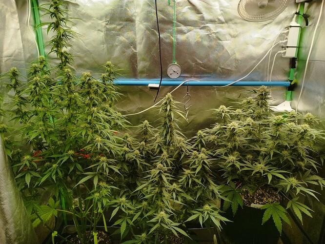 Growreport Bild 10