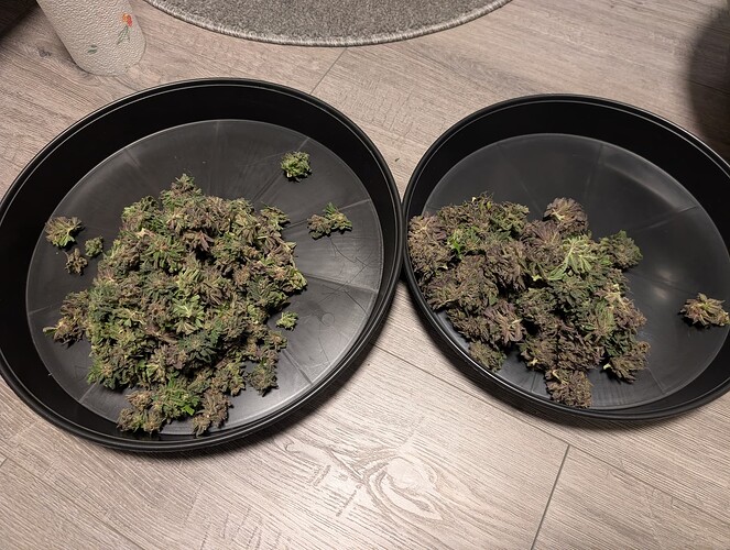 Growreport Bild 20