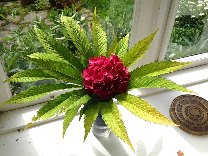 Growreport Bild 18