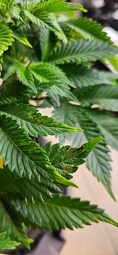 Growreport Bild 12