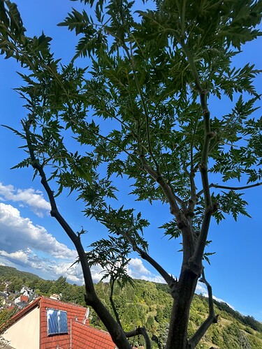 Growreport Bild 8
