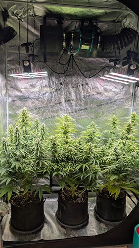 PXL_20241124_134034873