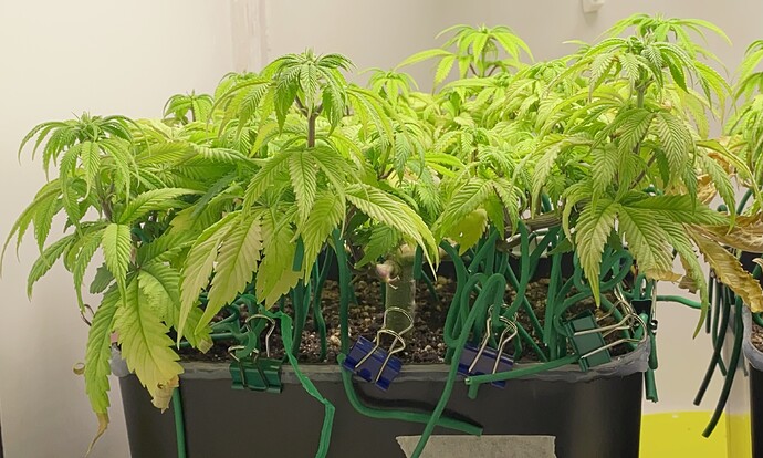 Growreport Bild 13
