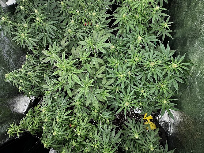 Growreport Bild 1