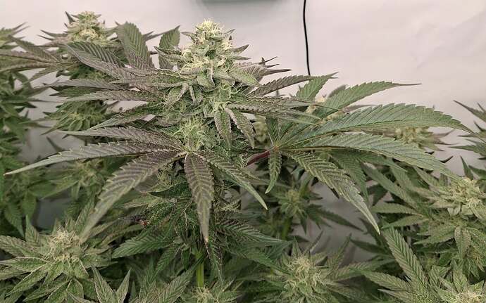 476826144_122167310168293599_4014648083897245905_n