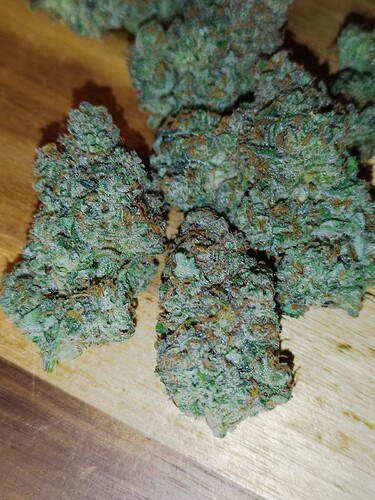 Nahaufnahme von mehreren geernteten Cannabis-Buds, die auf einer Holzoberfläche liegen. Die Buds sind hellgrün mit orangefarbenen Stempeln und bedeckt mit einer dicken Schicht Trichome.