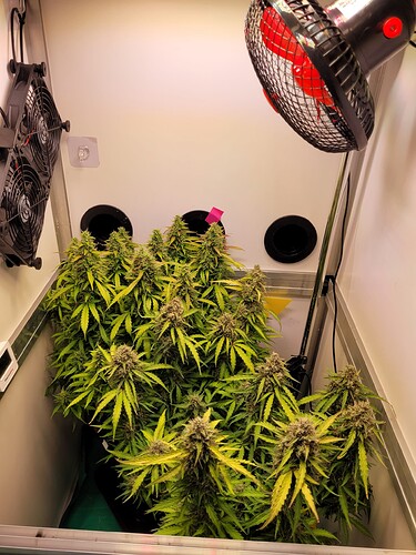 Growreport Bild 19