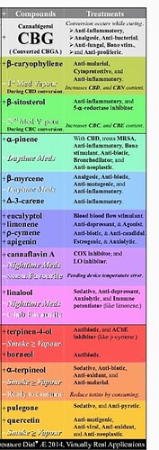 Screenshot_20240714-071101_Galerie