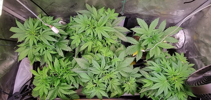 WhatsApp Image 2025-12-16 at 12.54.00 (7)