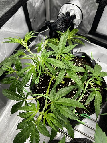 Growreport Bild 1