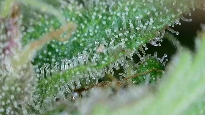 2025-10-06-102017220