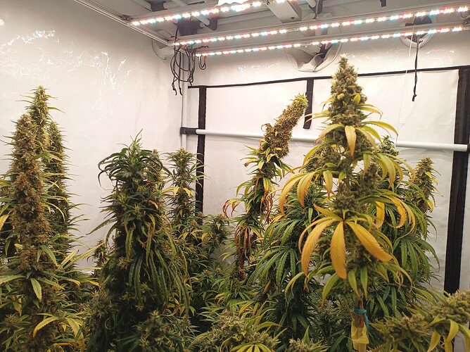 Growreport Bild 2