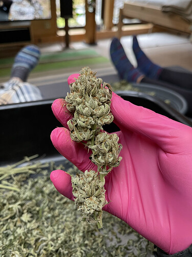 Growreport Bild 15
