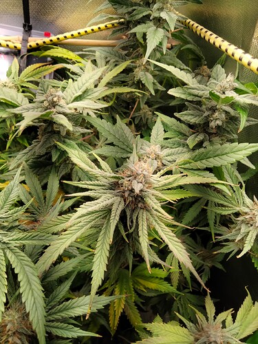 Growreport Bild 10