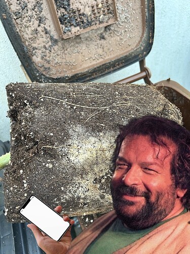 Photoroom-20250206_143811