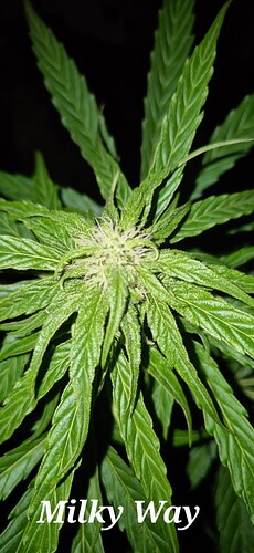 Growreport Bild 12