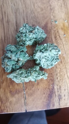 Growreport Bild 16