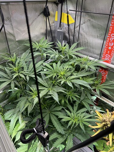 Growreport Bild 10