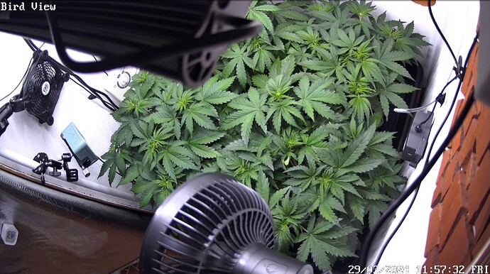 Growreport Bild 15