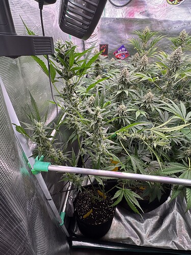 Growreport Bild 7