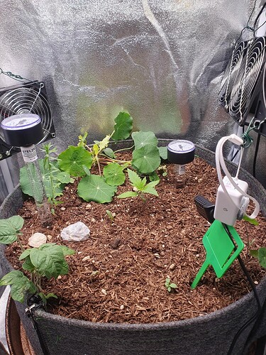 Tag 11 -2025-09-02-203317_003