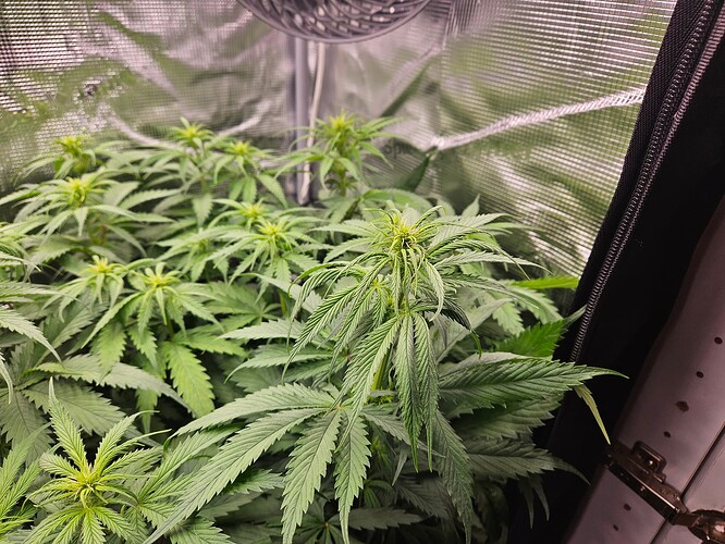 Growreport Bild 2