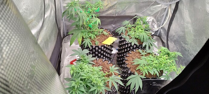 IMG_20251014_102128560_HDR