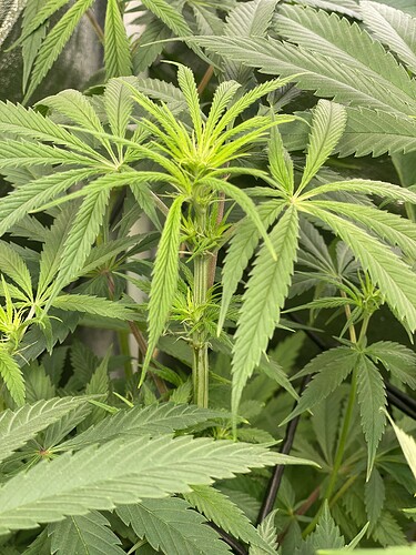 Growreport Bild 13