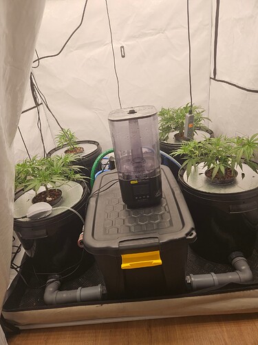 Growreport Bild 6