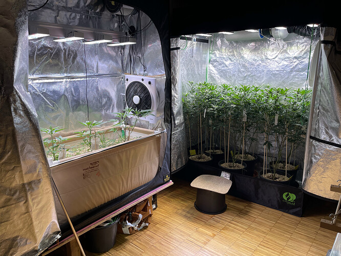 Growreport Bild 36