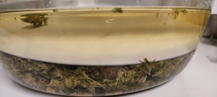 Growreport Bild 63