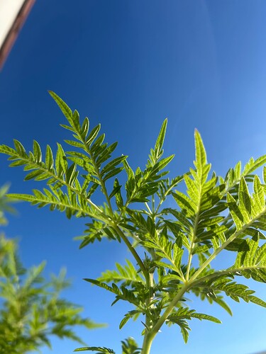 Growreport Bild 17