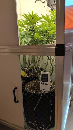 Growreport Bild 19