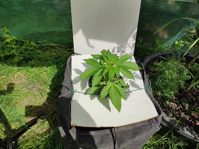 Growreport Bild 5