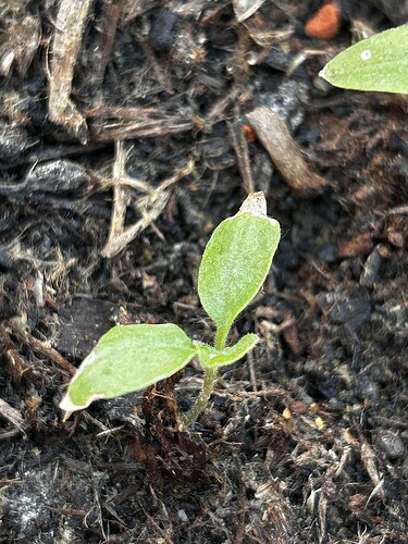 Growreport Bild 15