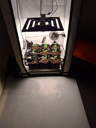 Growreport Bild 16