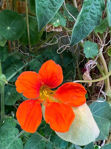 Growreport Bild 9