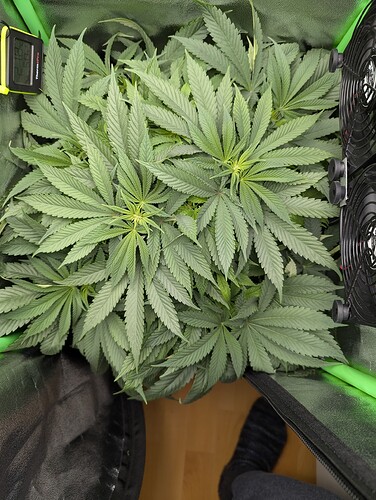 PXL_20241006_165402836