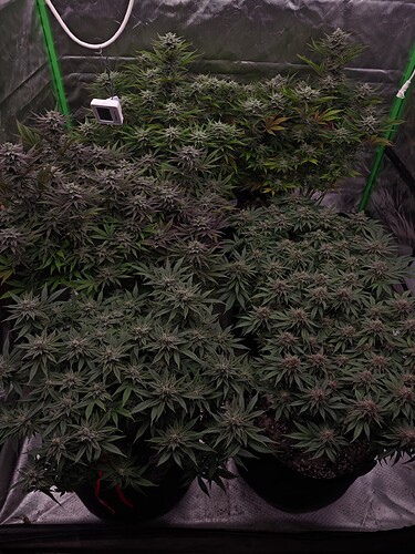 Growreport Bild 22