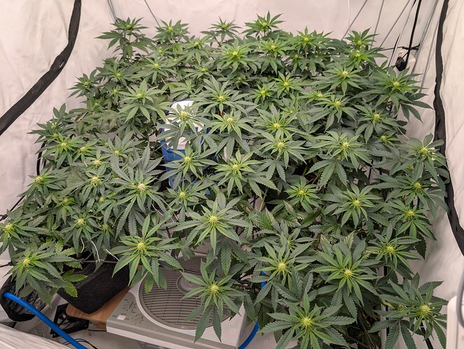 PXL_20250723_161012697.RAW-01.COVER