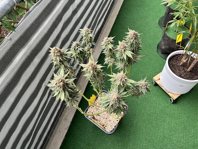 Growreport Bild 14