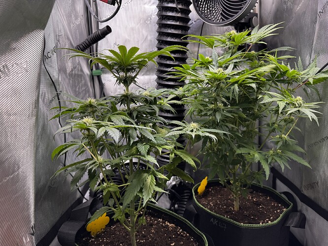Growreport Bild 5